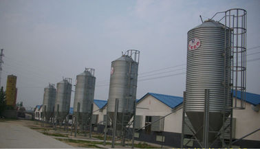Galvanized Feed Silo for Poultry Farm